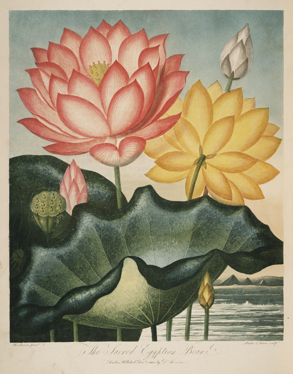 Link to Adoption and Spirituality Blog Post