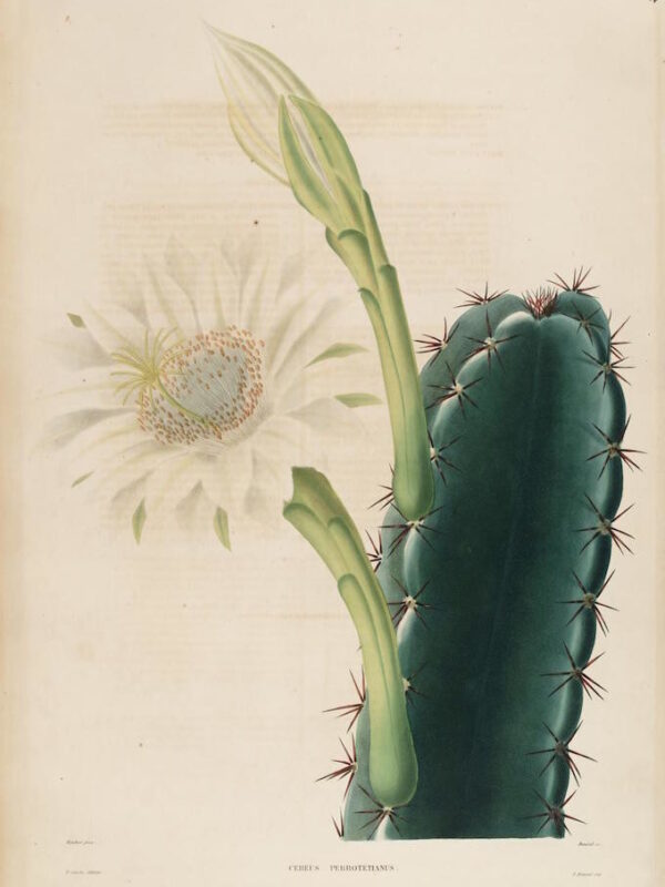 Life and Liberation after Lockup